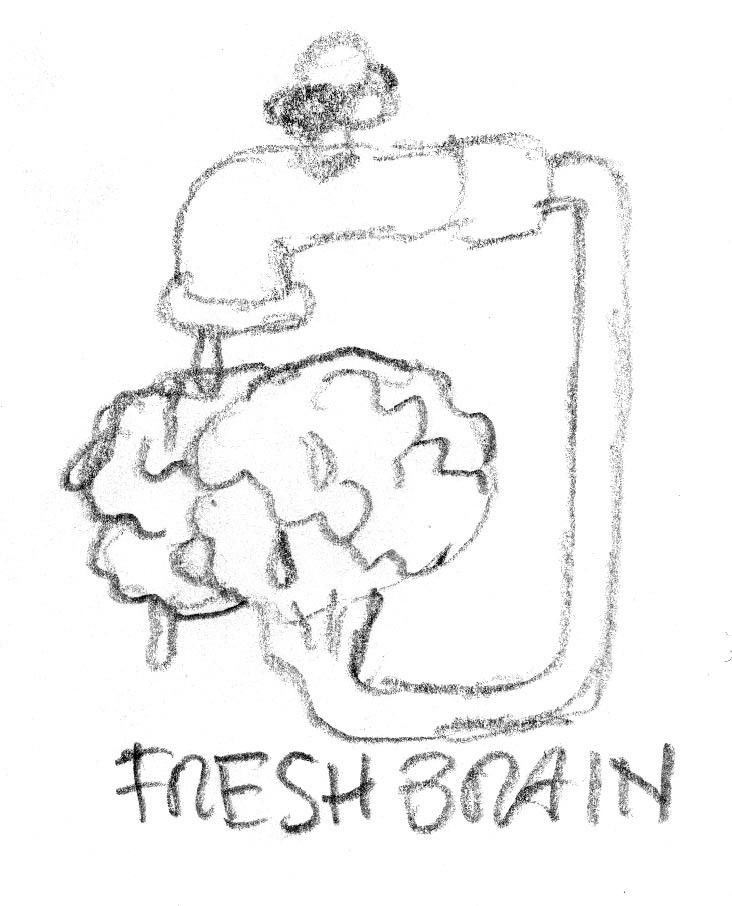 Bozzetto a matita fresh brain (cervello fresco)