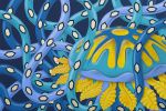 Jellyfish - Artwork by Oscar Salerni for the Costa Toscana ship