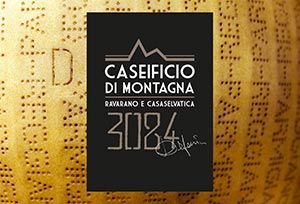 Logo Caseificio di Montagna 3084 - Delfante